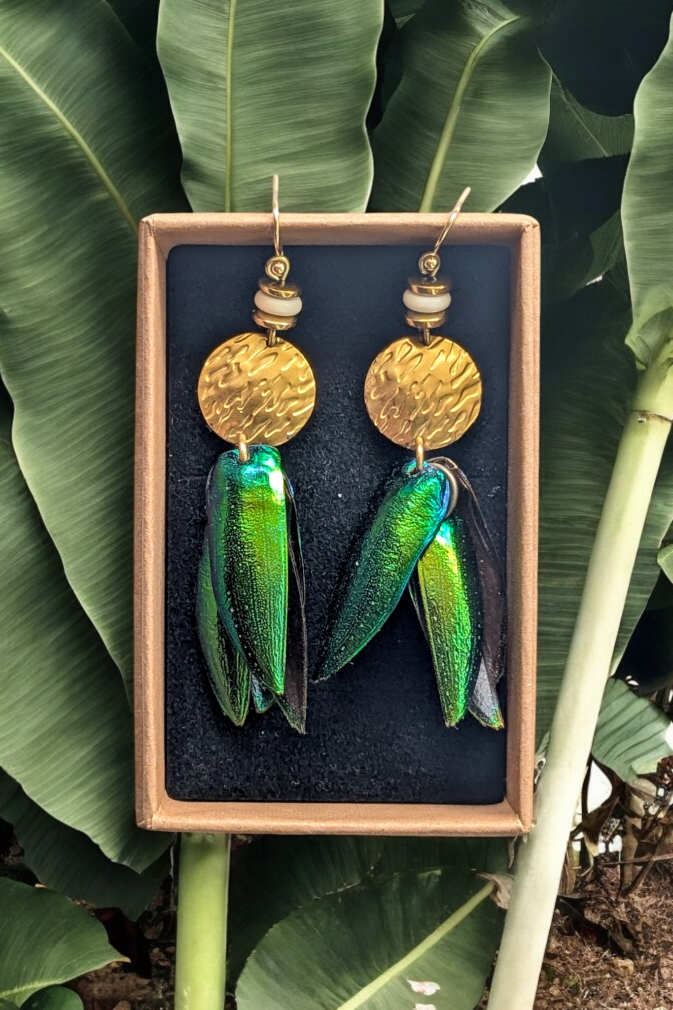 Photoroom-20241106_095926