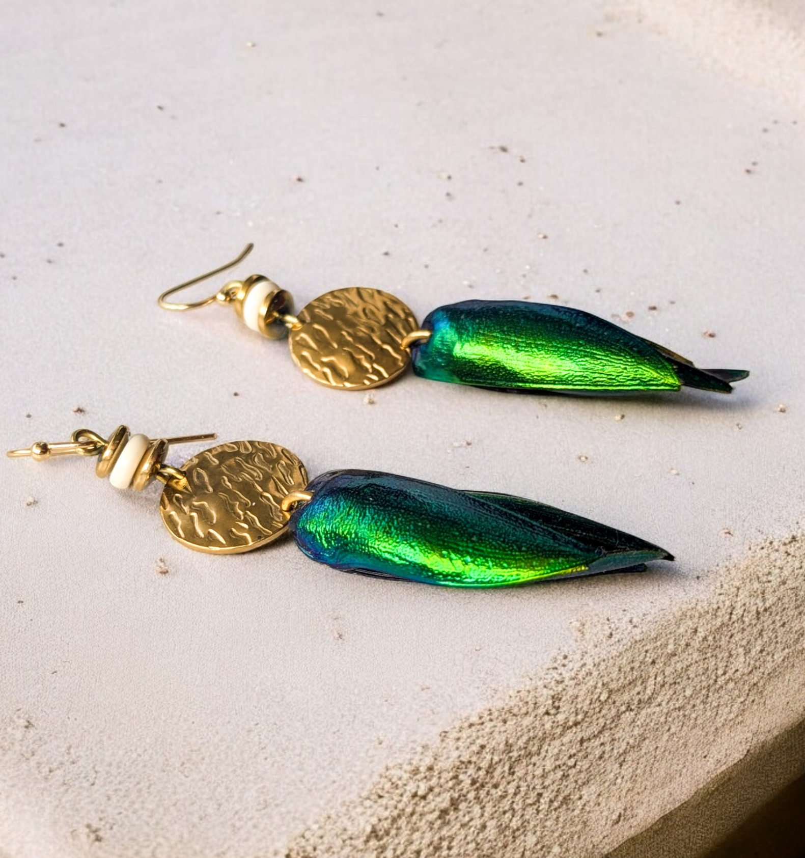 Photoroom-20241113_162328~2