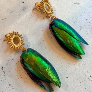 Boucles d'oreille élytre de scarabée